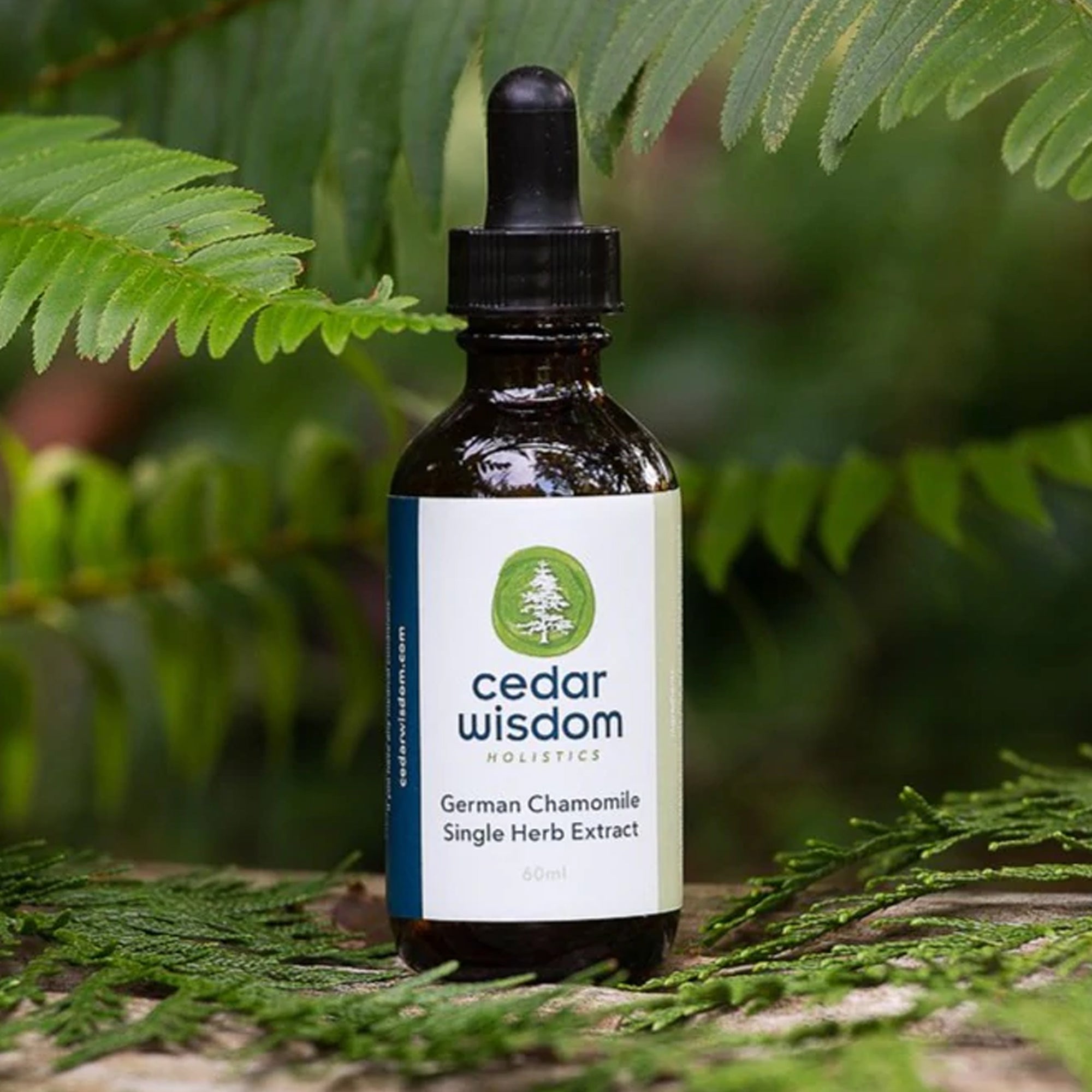 Herbal Medicine for Depression Anxiety and Insomnia,  Cedar Wisdom