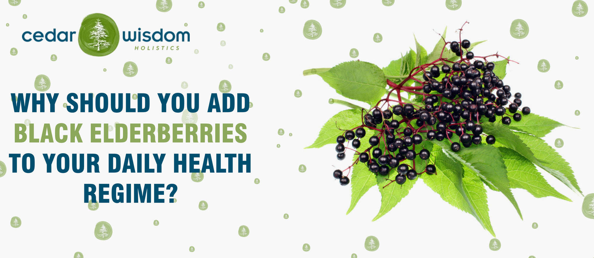 Herbal Medicines, Herbal remedies for colds, Herbal medicines for fever, Elderberries, Herbal and Ayurvedic Medicines