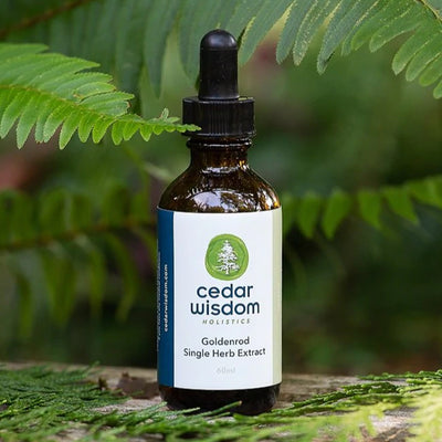Goldenrod Single Herb Extract Anti-Allergic, Anti-Inflammatory Tincture 60 ml