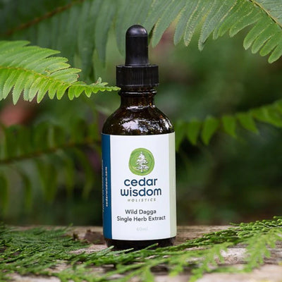 Wild Dagga Single Herb Extract For Anxiety 60 ml